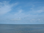 Pamlico Sound 2