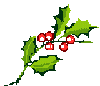 Christmas holly
